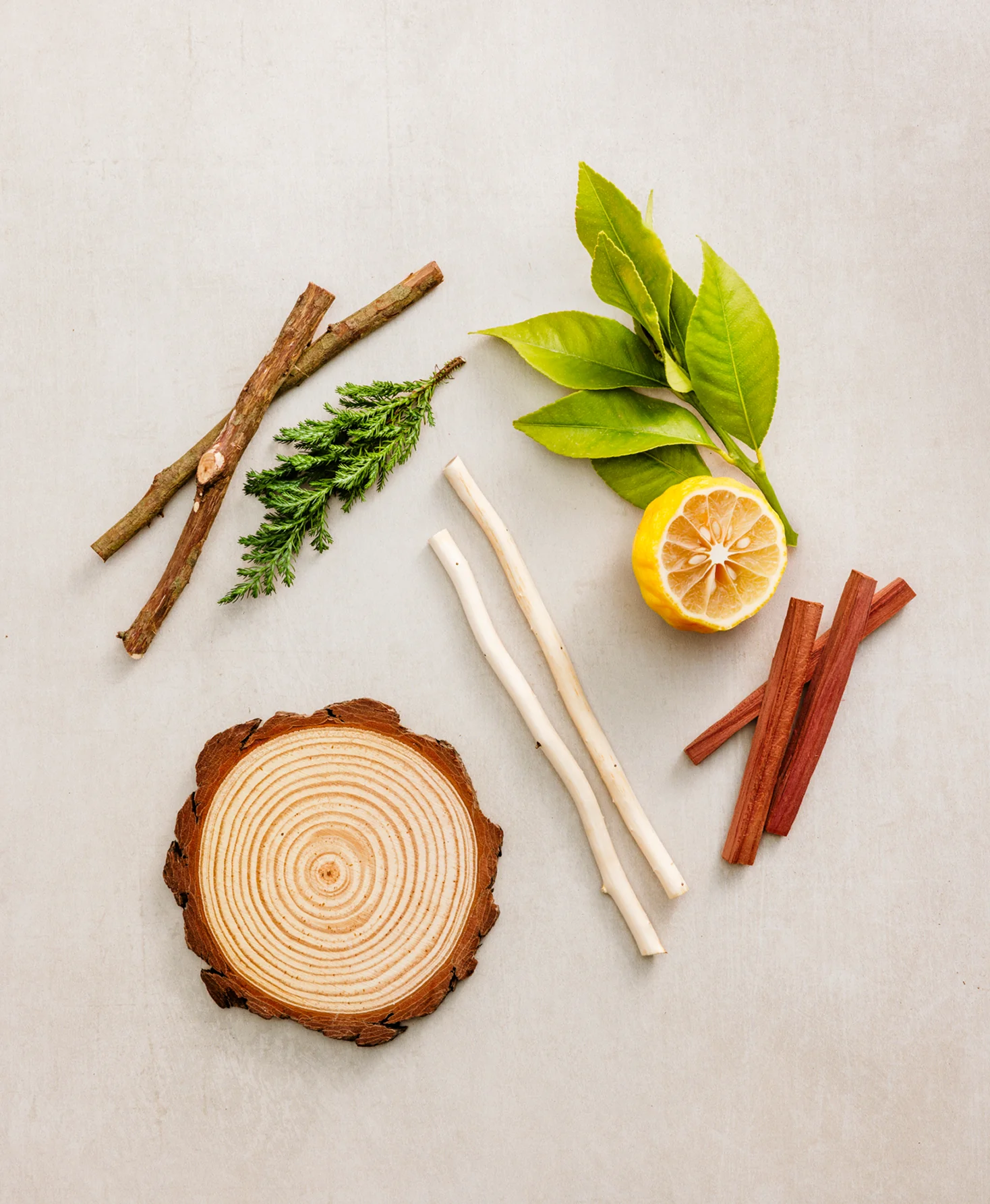 Blue Cedar & Cypress Body Wash - Image 6