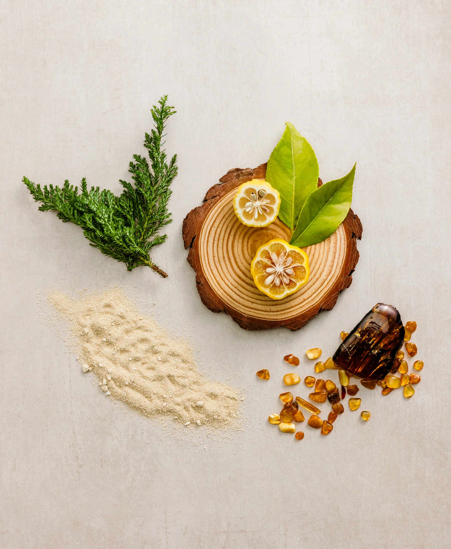 Fresh Timber Beard Oil - Image 5