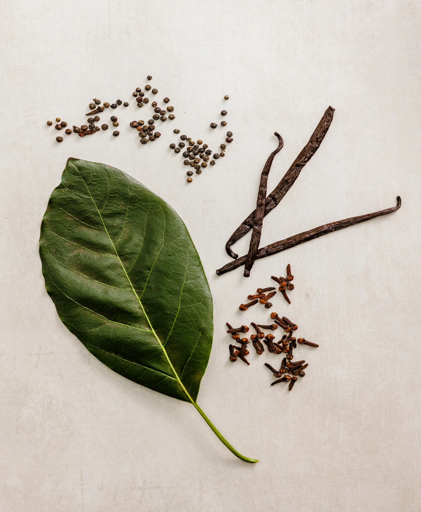 Spice & Black Vanilla Spray Cologne - Image 6