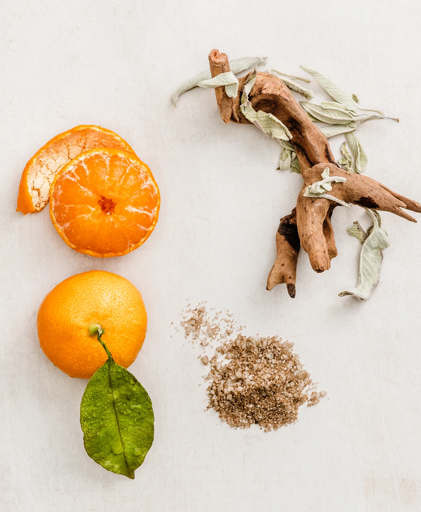 Tangerine Sage Body Wash - Image 5